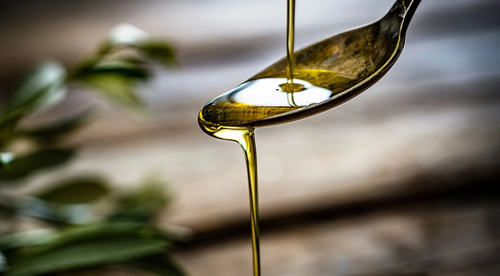 Fresh olive oil running off a tasting spoon over dark wood