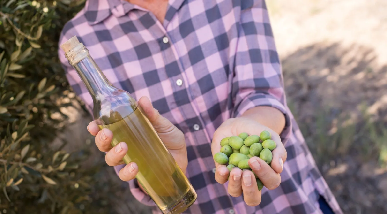 A grower holding a bottle of new olive oil and a handful of green olives
