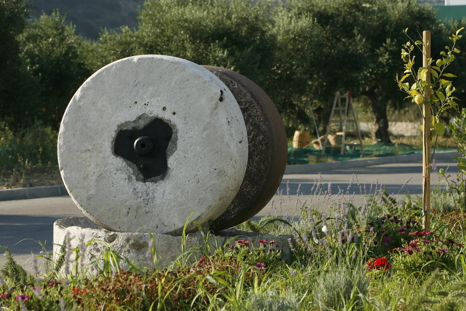 An old stone millstone kept on display outside the Terra Creta mill