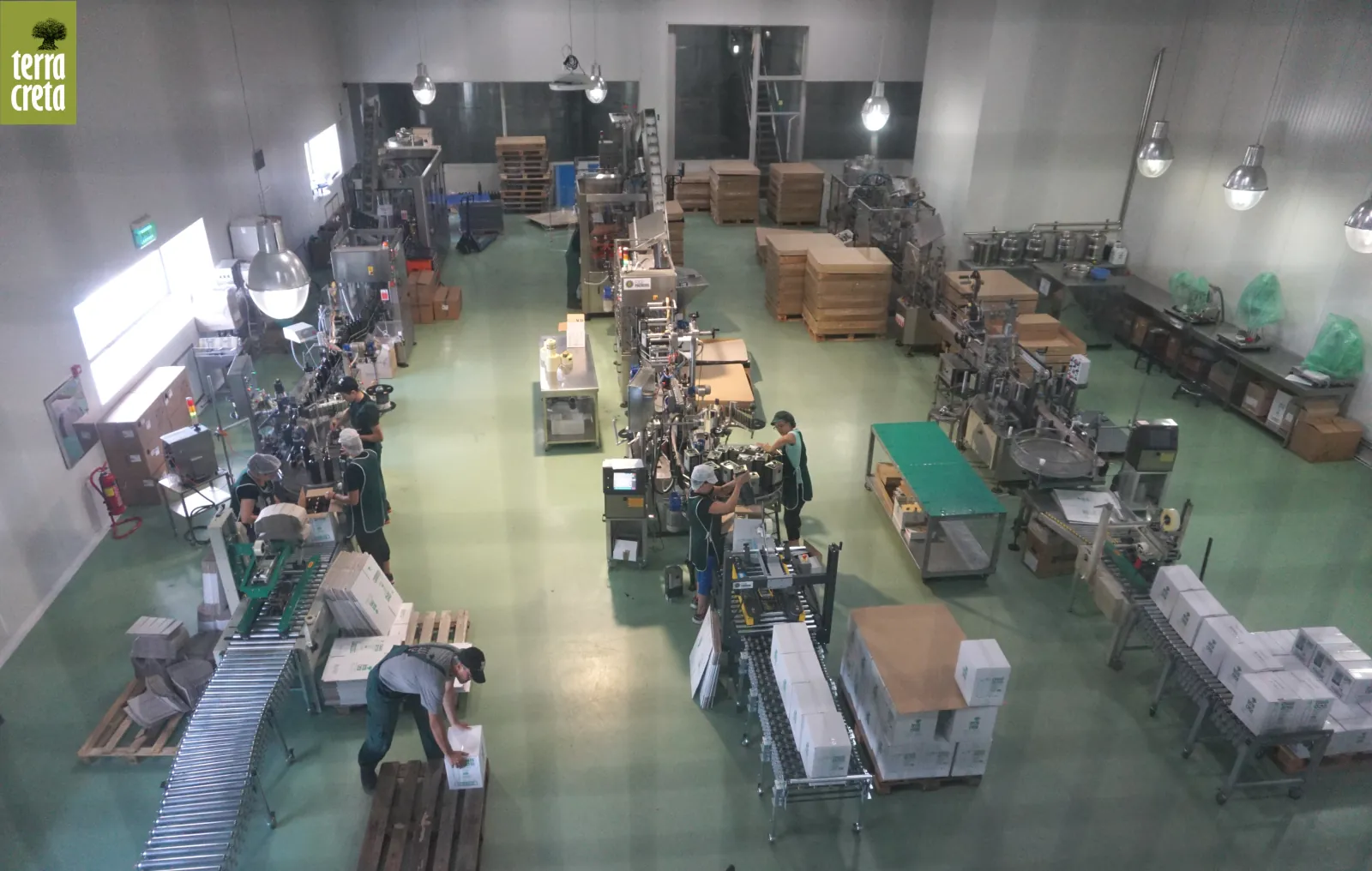 The Terra Creta bottling and packing hall seen from above