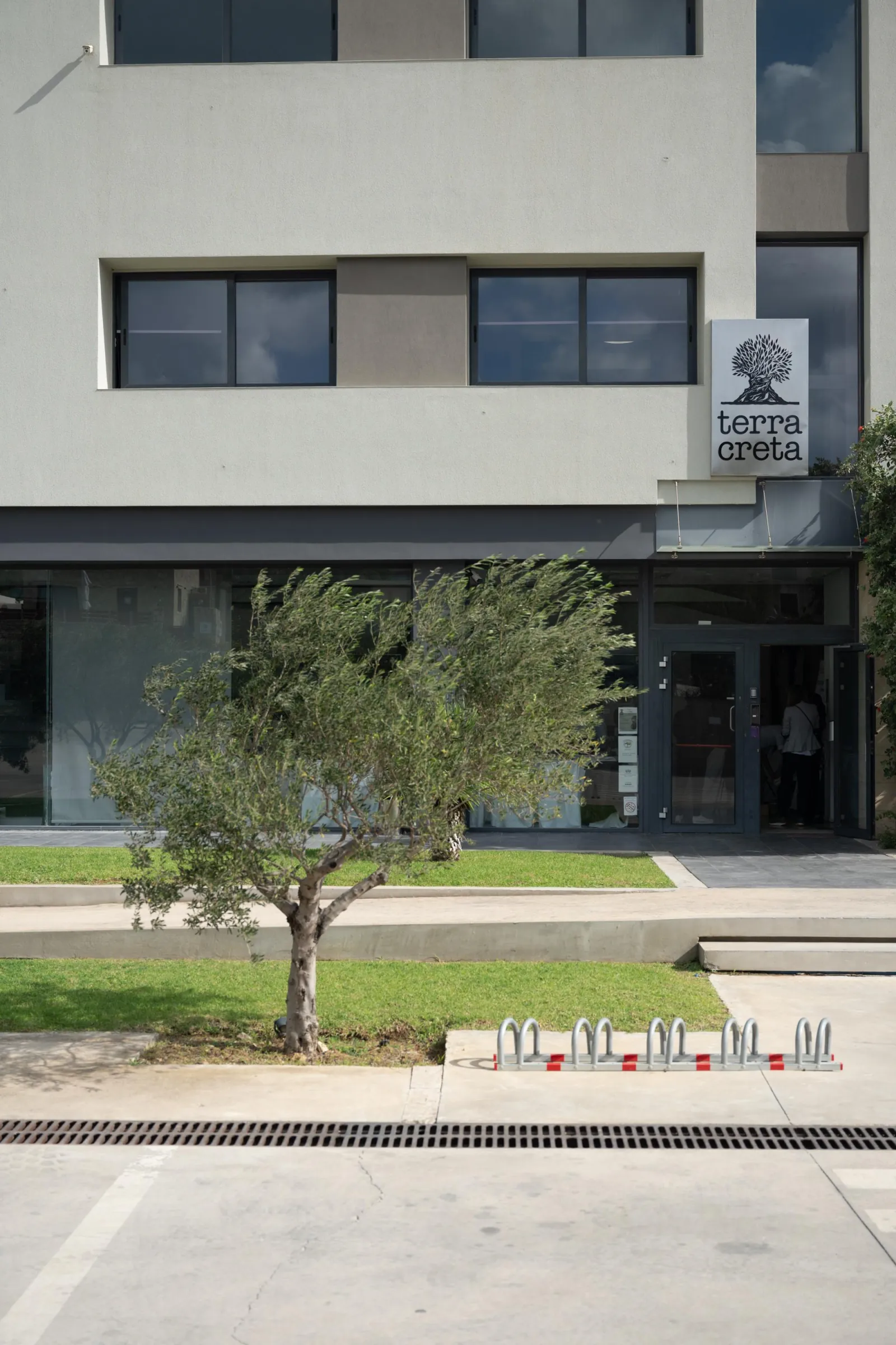 The Terra Creta visitor entrance at Kolymvari with an olive tree outside