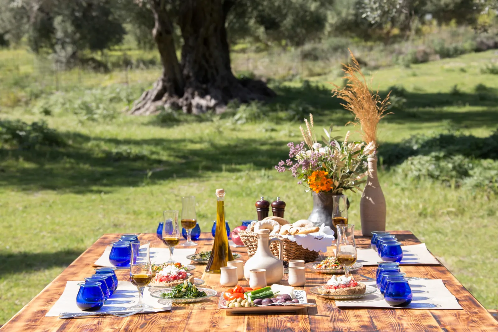 The tasting table laid with oils, bread and blue glasses under the trees
