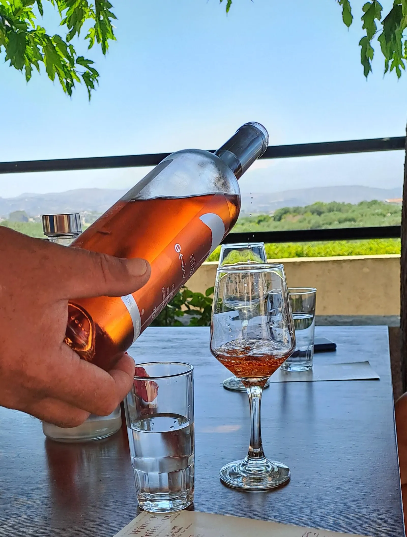 A bottle of rosé poured on a terrace overlooking the vineyards