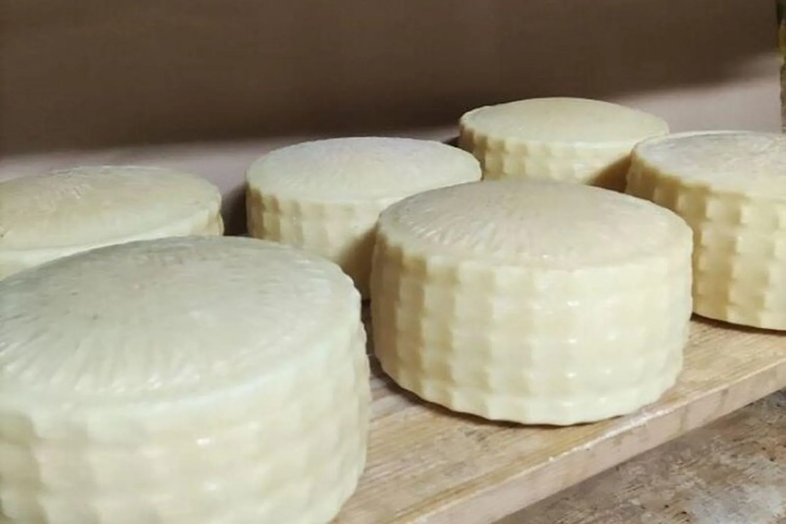 Rounds of freshly made Cretan cheese resting on a wooden board