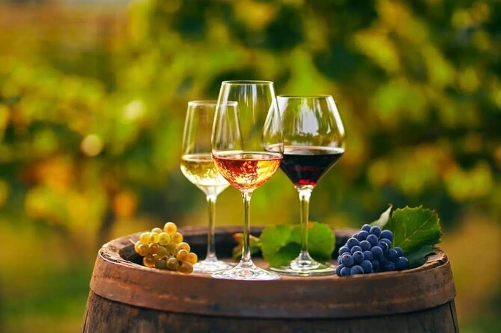 From Chania: Olive Oil, Wine, Cheese & Honey Tasting Tour