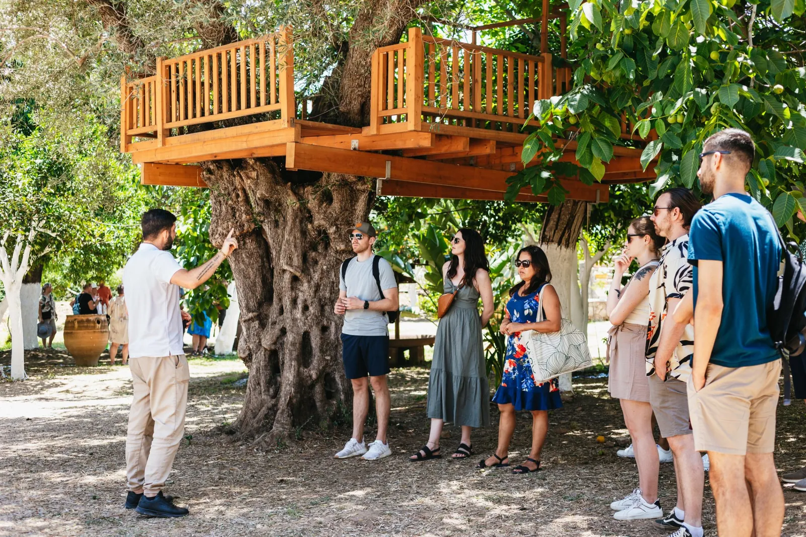 The group beneath an old olive tree with a treehouse built into it