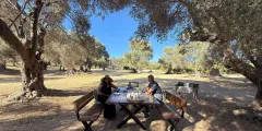 Guest photo from review