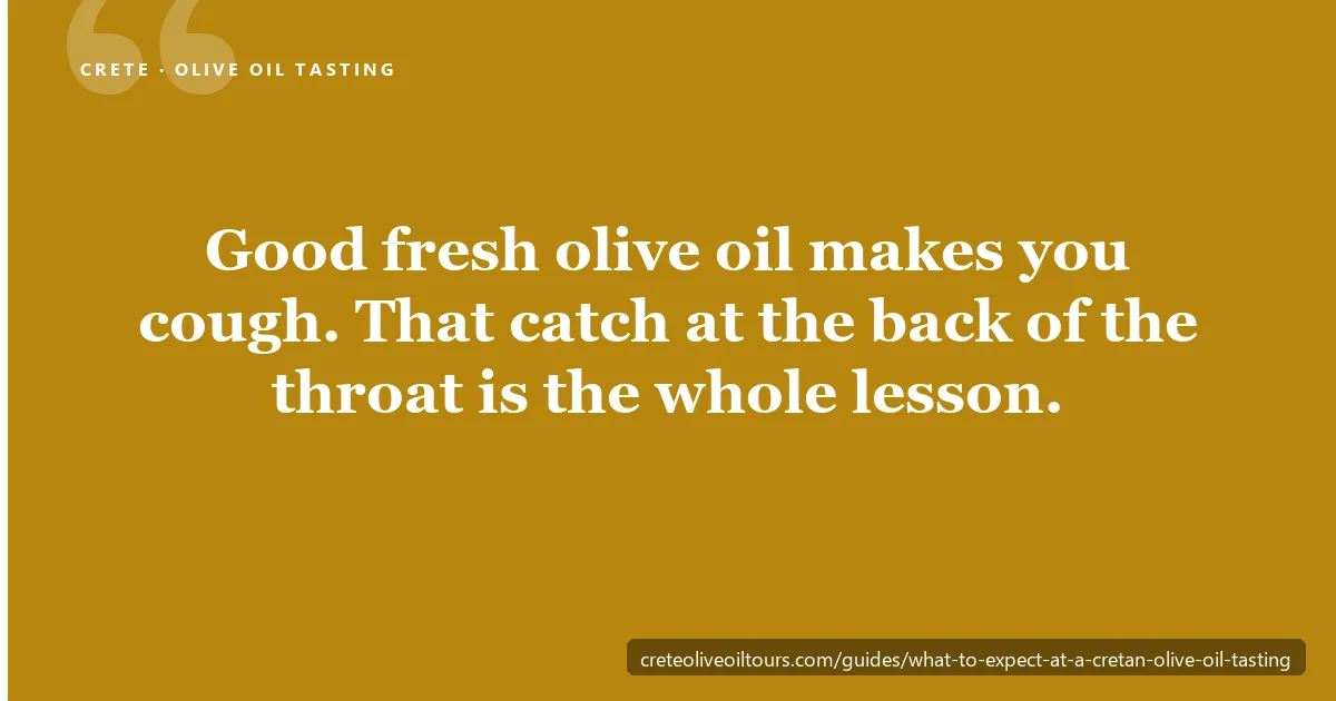 A guided Cretan olive oil tasting — oils poured in sequence with bread and Cretan food